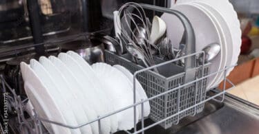 Large and small white plates, steel forks, spoons in open dishwasher