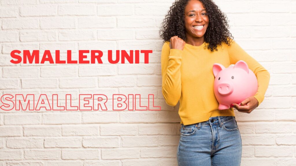 Smaller Unit Smaller Bill with woman happily standing Infront of brick wall